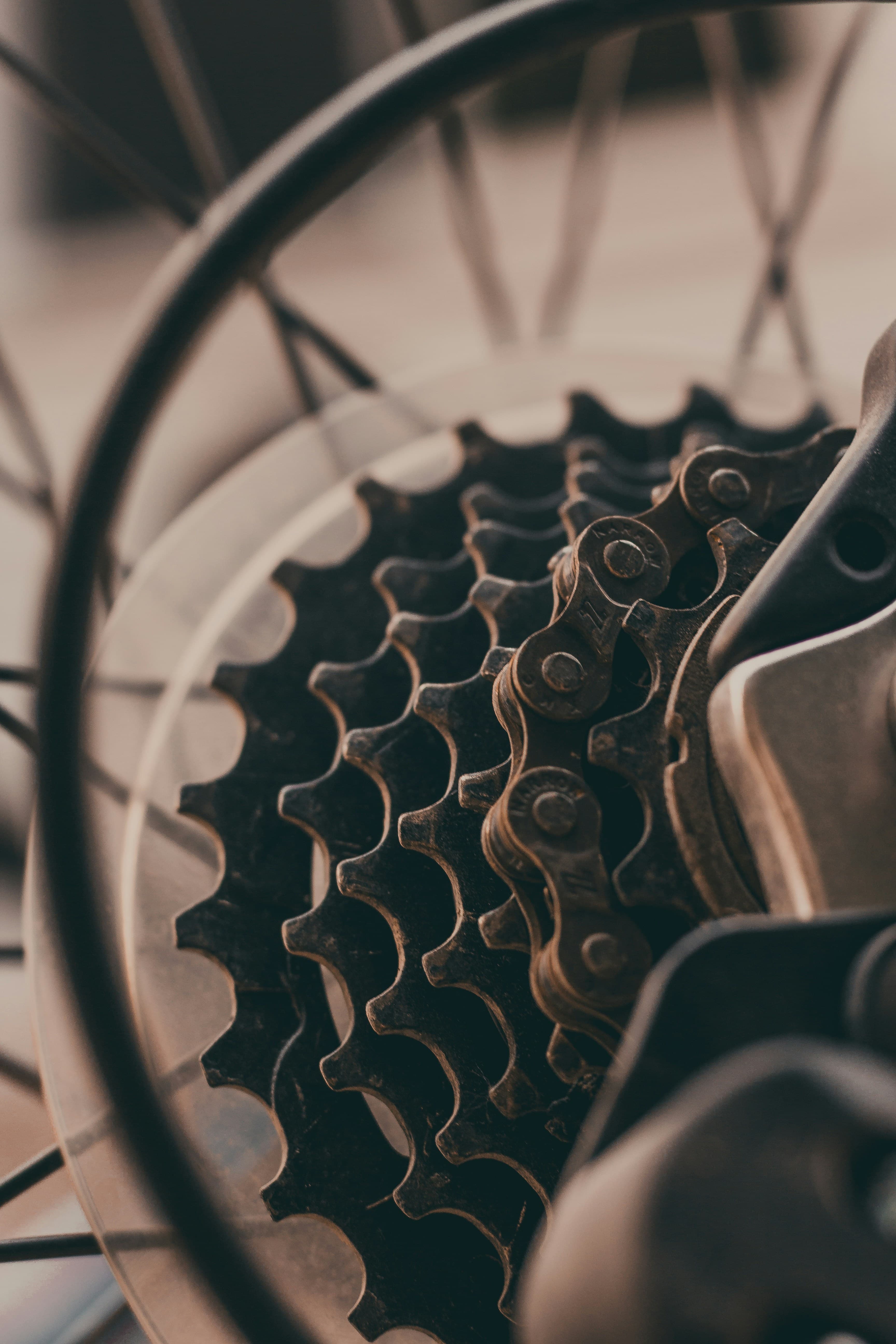 Carbon, Di2 und Scheibenbremse sind in der Mittelklasse angekommen